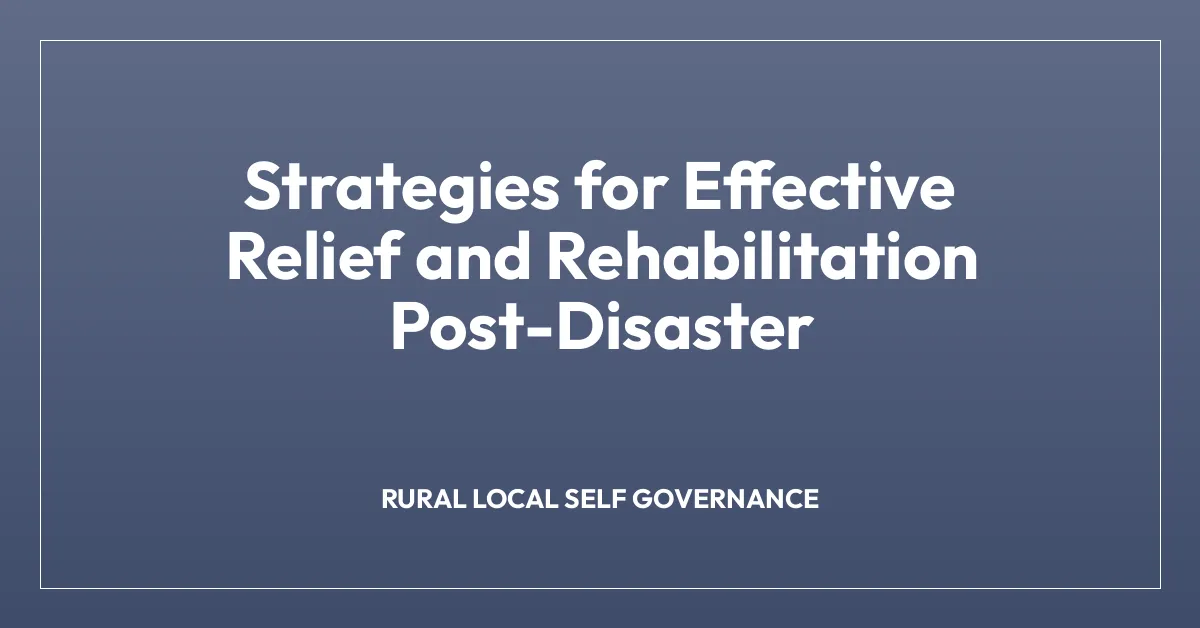 Strategies for Effective Relief and Rehabilitation Post-Disaster