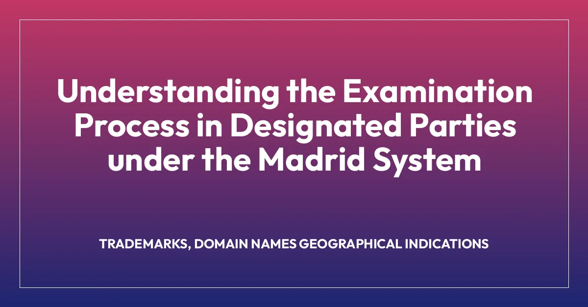 Understanding the Examination Process in Designated Parties under the Madrid System