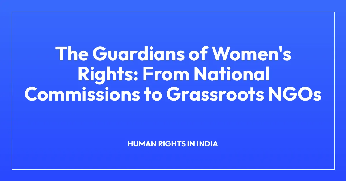 The Guardians of Women’s Rights: From National Commissions to Grassroots NGOs