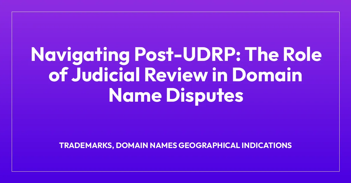 Navigating Post-UDRP: The Role of Judicial Review in Domain Name Disputes
