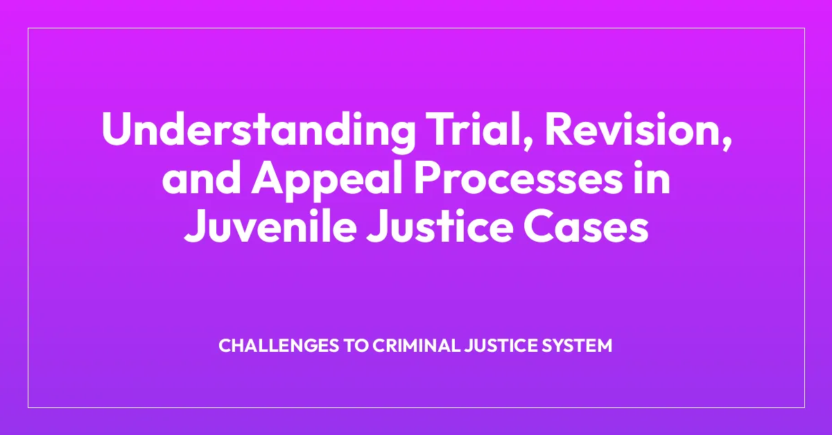 Understanding Trial, Revision, and Appeal Processes in Juvenile Justice Cases