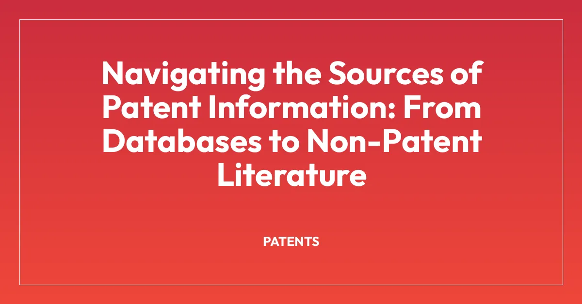 Navigating the Sources of Patent Information: From Databases to Non-Patent Literature